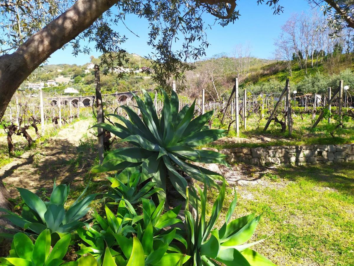 Il Vigneto "Cottage" Gaggi Exterior photo